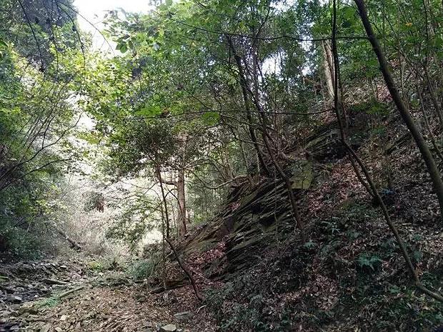 零跑朱江明:汽车产业未来十年一定是中国出口最大增长点